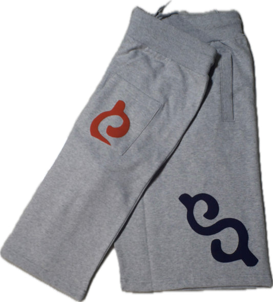 Gray Blue Red Thowsandaire Shorts